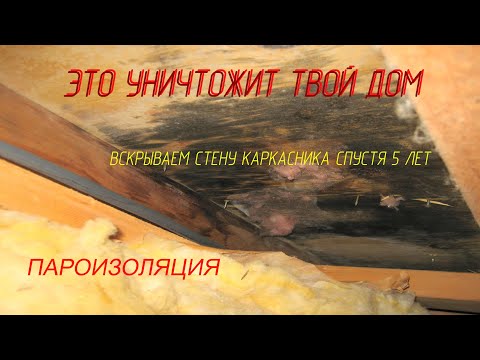 Пароизоляция: наглядный эксперимент ошибки